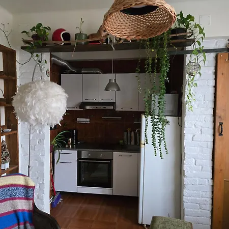 Sophie's Cluj-Napoca